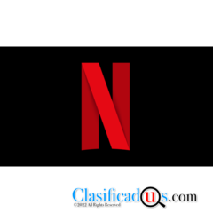 Netflix Android App